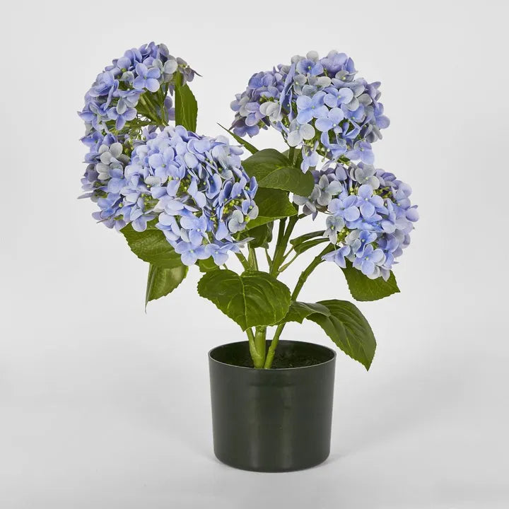 Potted Real Touch Hydrangea Blue
