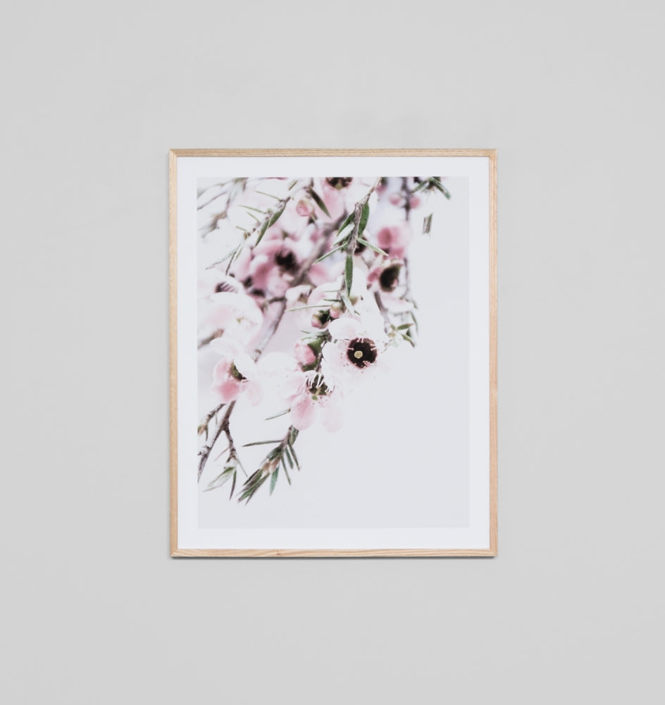 Manuka Flower Print