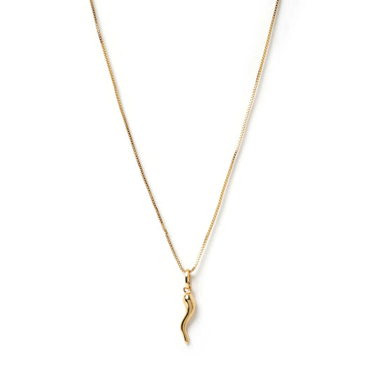 Cornicello Gold Charm Necklace - Large
