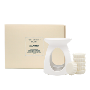 Wax Warmer & Soy Melt Gift Set