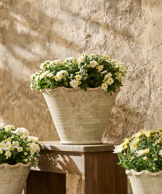 Wavy Planter Vase - Large