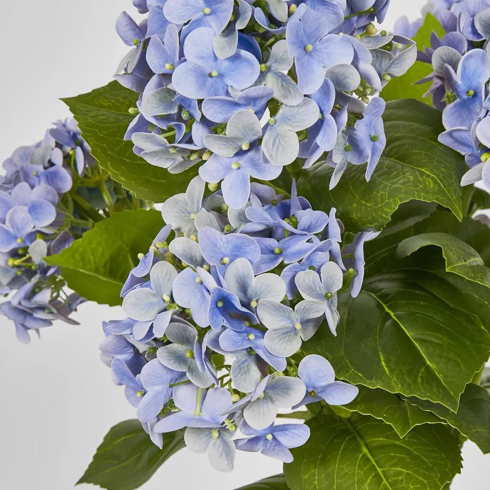 Potted Real Touch Hydrangea Blue
