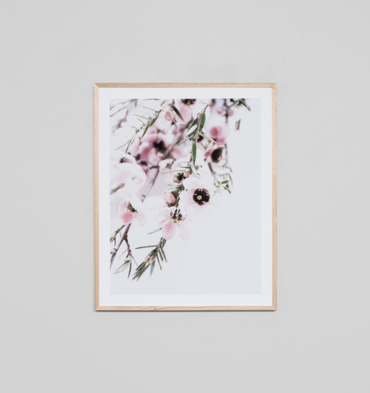 Manuka Flower Print